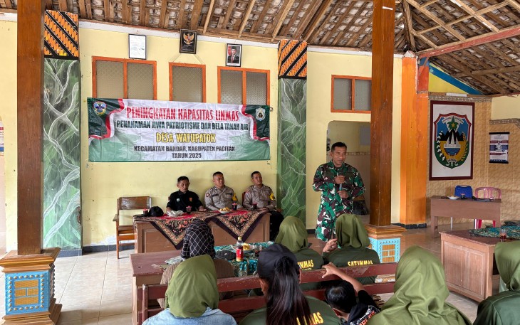 Peran Babinsa Di Wilayah Teritorial Dalam Peningkatan Kapasitas Linmas