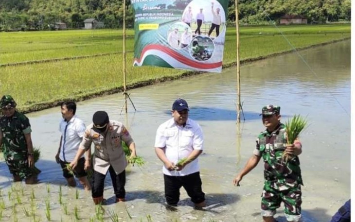 Tanam padi serentak di wilayah Kodim 0801/Pacitan 
