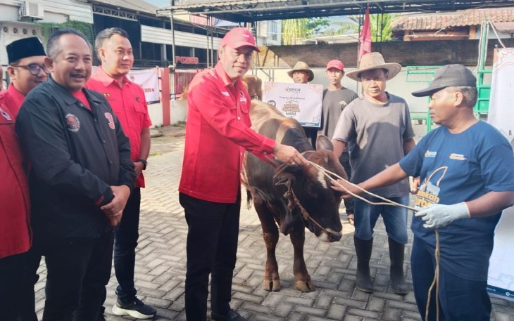 Ketua DPC PDI Perjuangan Karanganyar, Bagus Selo, menyerahkan sapi kurban di halaman kantor DPC PDI Perjuangan setempat, Minggu (862025).