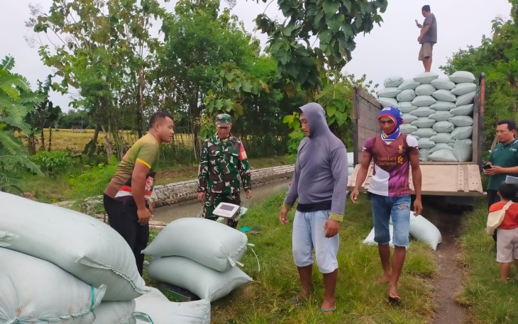 Penyerapan Gabah oleh Perum Bulog