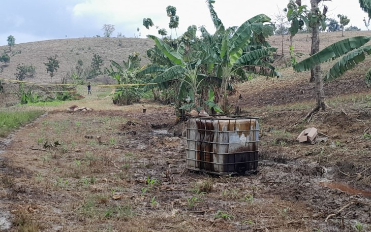 Lahan dan tanaman petani yang terdampak semburan minyak dan gas dari sumur tua Kedinding terancam mati, sehingga petani merugi.