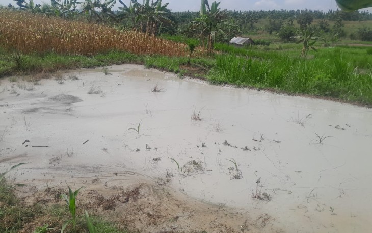 Limbah dari aktivitas pengeboran sumur minyak illegal di Dukuh Klepo Desa Tambakmerak yang di buang di sawah turut wilayah Dukuh Ngantru Desa Sekaran Kecamatan Kasiman Kabupaten Bojonegoro.
