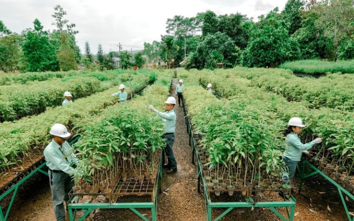 MIND ID Kokohkan Fondasi ESG untuk Hilirisasi dan Masa Depan Berkelanjutan Indonesia