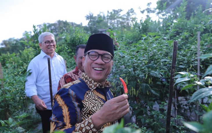 Mendes PDT Yandri Susanto saat panen cabai perdana di Desa Kemiri, Kabupaten Malang, Kamis (26/6/2025). 