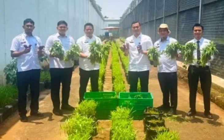 Kepala Rutan Kelas I Depok Agus Imam Taufik bersama warga binaan memanen kangkung dan terong di kebun binaan Rutan, Rabu (8/10/2025)