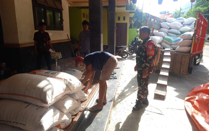 TNI dan Bulog Kawal Serapan Gabah Untuk Kesejahteraan Petani Pacitan