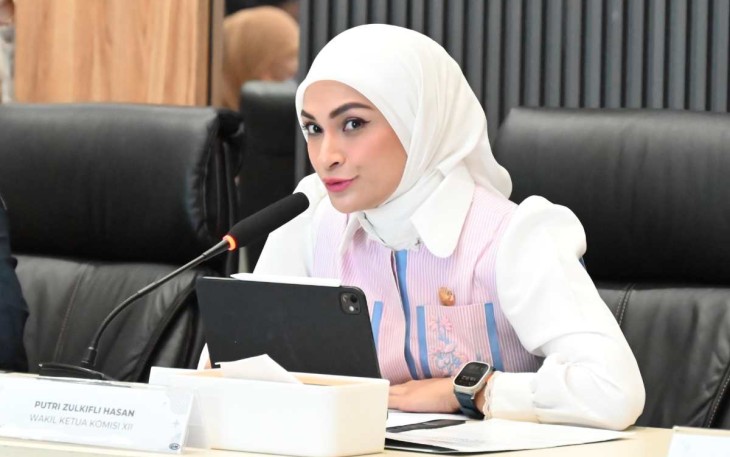 Wakil Ketua Komisi XII DPR RI, Putri Zulkifli Hasan 
