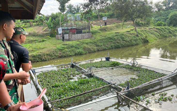 Yonif 141/AYJP menunjukkan komitmennya dalam mendukung kebijakan ketahanan pangan pemerintah serta turut serta dalam meningkatkan kesejahteraan dan kemandirian pangan di lingkungan satuan dan masyarakat sekitar.
