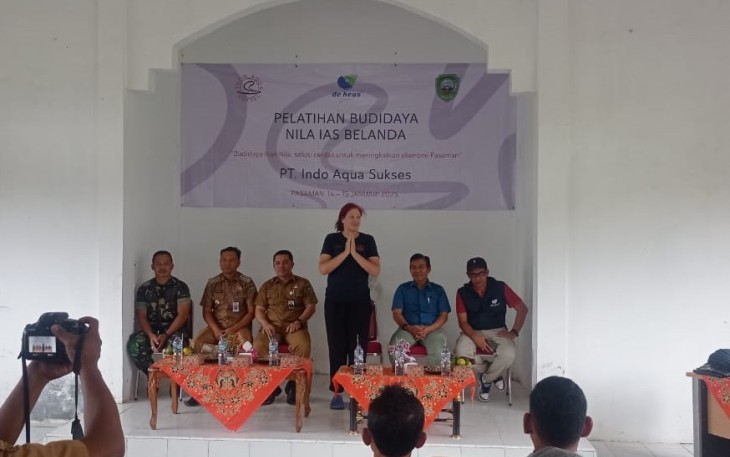 PT IAS dan Dinas Perikanan Kembangkan Budidaya Ikan Nila Tampa Hormon asal Belanda di Pasaman