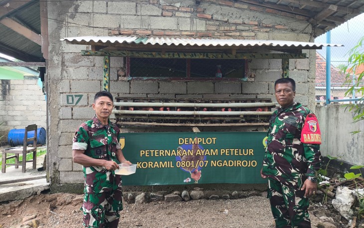  Danramil 0801/07 Ngadirojo Kapten Inf Yuswanto bersama anggota Koramil 0801/07 Ngadirojo mencoba budidaya ayam petelur bertempat di halaman belakang Makoramil, Krajan, Kecamatan Ngadirojo, Kabupaten Pacitan, Sabtu(15/02/2025)