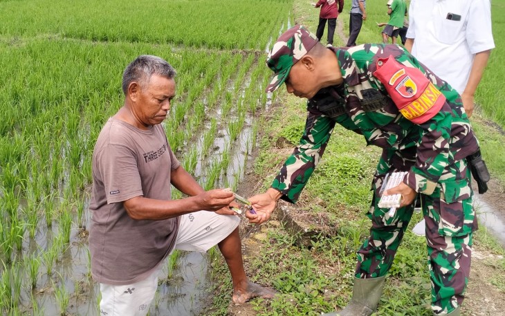 Babinsa Desa Duren Berhasil Melaksanakan Gropyokan Hama Tikus Bersama Warga