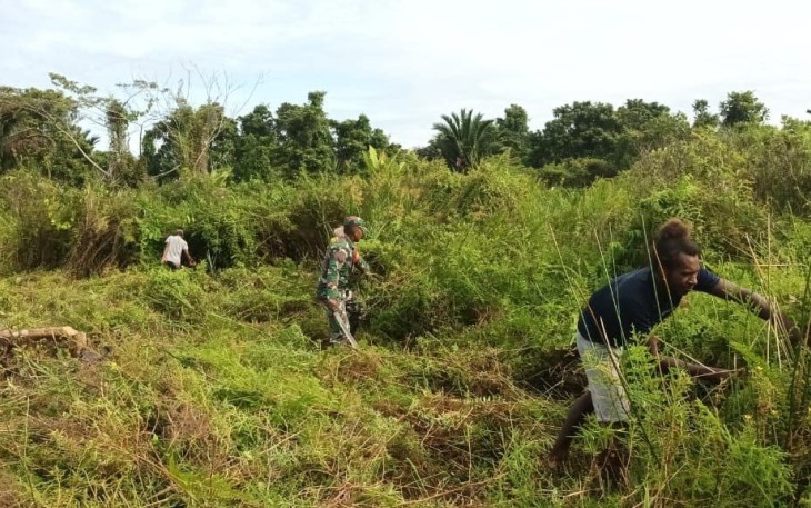 Babinsa Kuala Kencana Bantu Masyarakat Buka Lahan Pertanian