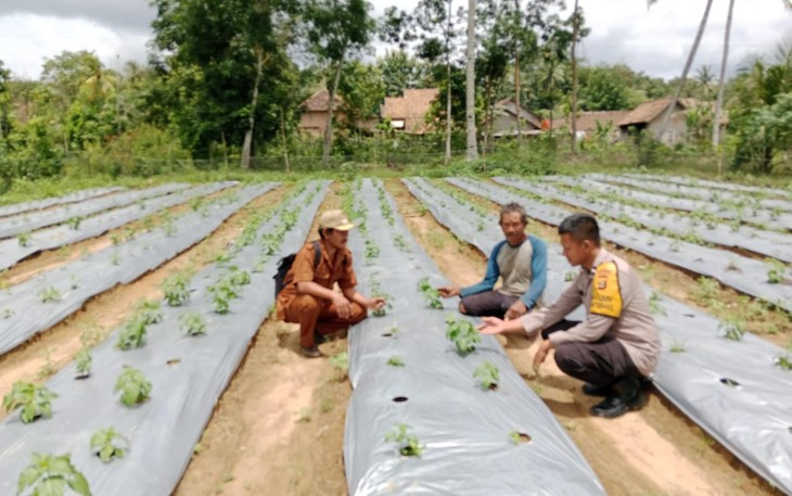 Bhabinkamtibmas Polsek Belitang III Laksanakan Pendampingan Pengecekan Lahan Warga