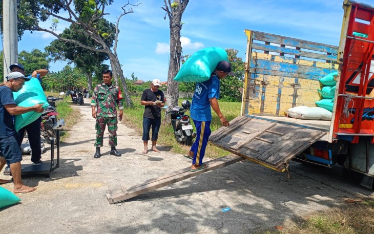 Anggota Koramil 0803-05/Wungu, Sertu Edi, melaksanakan kegiatan pendampingan Serapan Gabungan (Sergab) program pemerintah dalam pembelian gabah/beras petani pada hari ini di wilayah Kecamatan Wungu, Kabupaten Madiun, Jumat, 11 April 2025