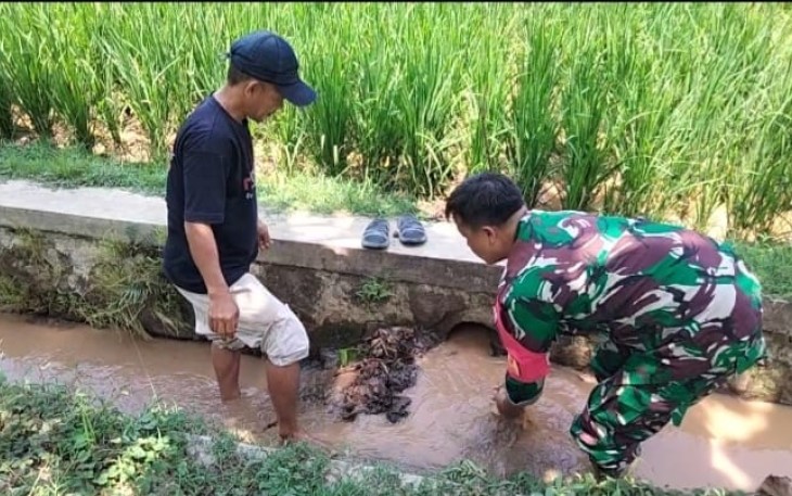 Babinsa Desa Kresek Bersama Poktan Sido Luhur Atur Pengairan Sawah