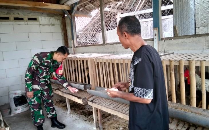 Babinsa Koramil Karangjati Sambangi Peternak Ayam di Wilayah Binaan 