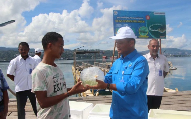 KKP menyerahkan benih ikan Nemo di Ambon
