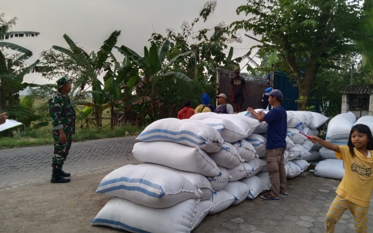 Pendampingan kegiatan Serapan Gabah Petani (Sergap) di wilayah Kecamatan Paron, Kabupaten Ngawi.