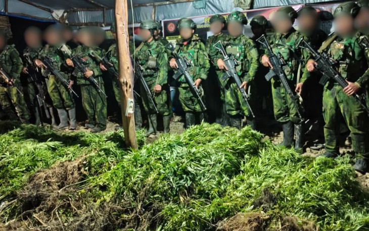 5.000 Batang Ganja Terungkap, TNI Habema Gagalkan Peredaran Narkotika