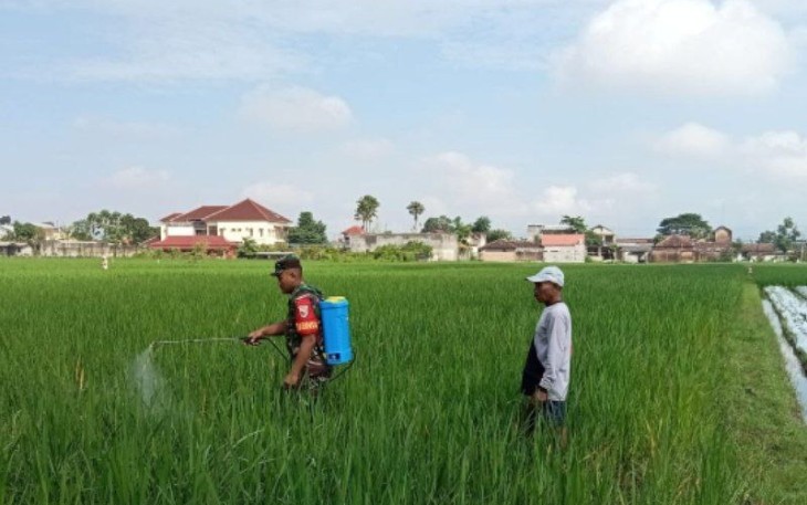 Serda Andri Dampingi Petani Semprot Hama
