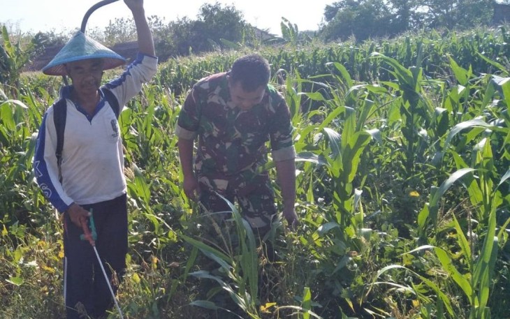 Bantu pemupukan lahan pertanian warga binaan 
