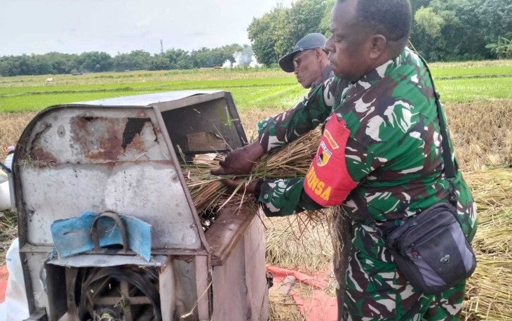 Bantu panen padi warga binaan