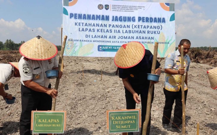 Tanam Jagung di Air Joman