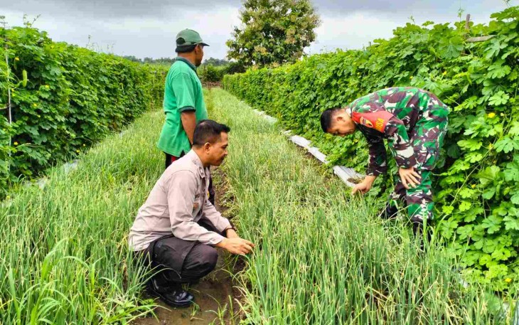 Bantu petani wilayah desa binaan 