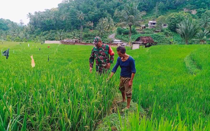 Pendampingan petani wilayah desa binaan 