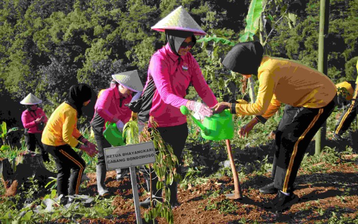 Penghijauan bukit Bintang