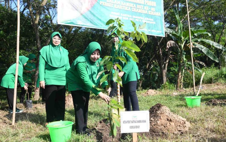Tanam pohon di kawasan gunung Kendil