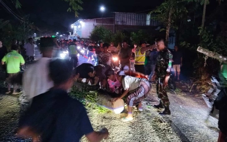 Evakuasi pohon tumbang di jalan