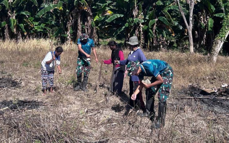 Tanam jagung diperbatasan