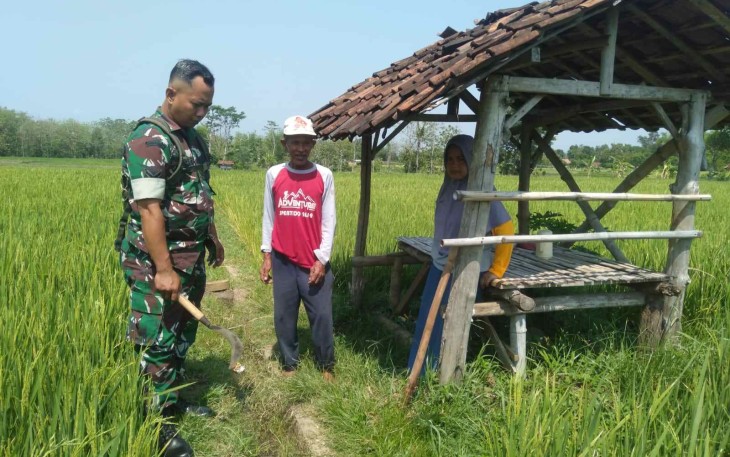 Pembersihan saluran irigasi
