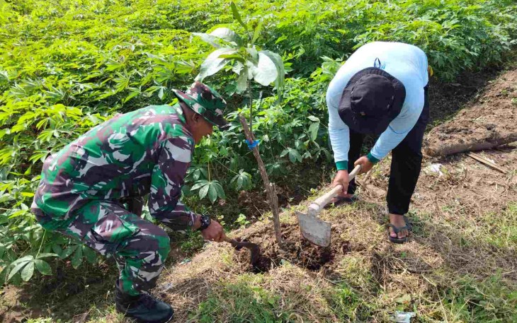 Tanam pohon di bantaran sungai 