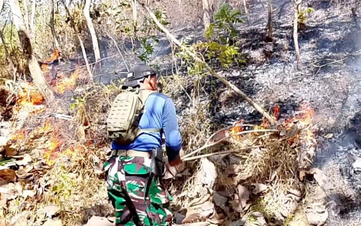 Padamkan kebakaran hutan jati
