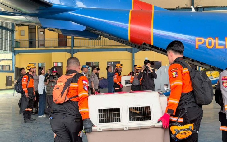 10 K9 SAR berpengalaman ke Flores dengan misi pencarian korban
