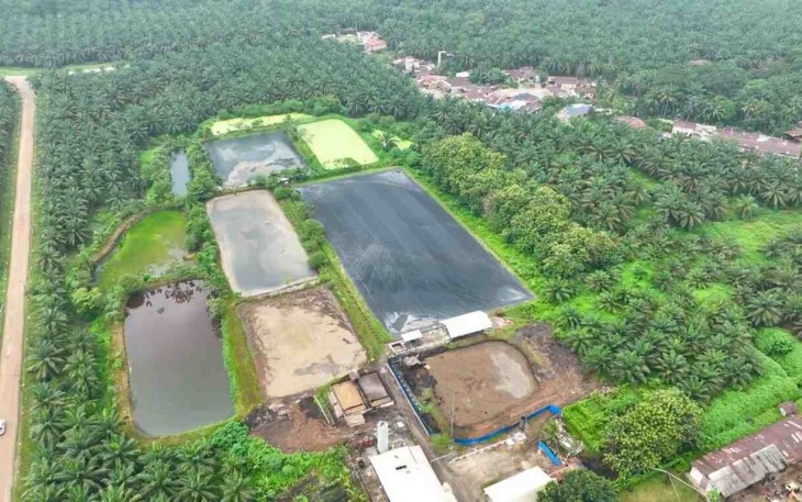 Hadapi Gejolak Energi Global, Holding Perkebunan Nusantara Andalkan PLTBg PalmCo