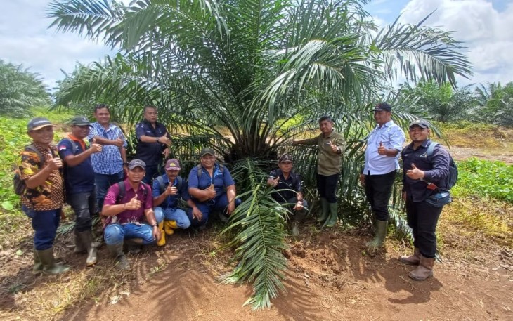 Holding Perkebunan Nusantara