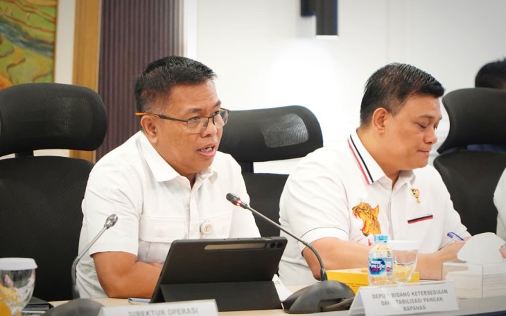 Ketua Pengarah Satgas Pangan Pusat, Komjen Pol Drs Syahardiantono 