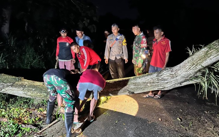 TNI-Polri Sigap Evakuasi Pohon Tumbang Akibat Cuaca Ekstrem di Trenggalek
