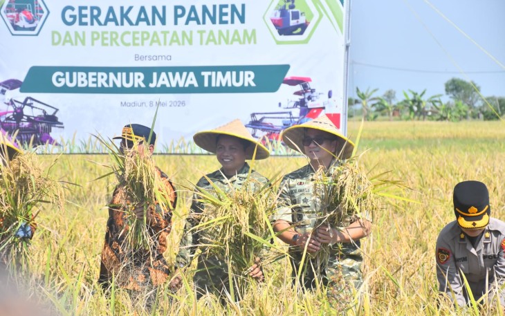Gerakan Panen Raya dan Percepatan Tanam Padi yang digelar di lahan persawahan Desa Gading, Kecamatan Balerejo, Kabupaten Madiun, Jumat (8/5/2026)