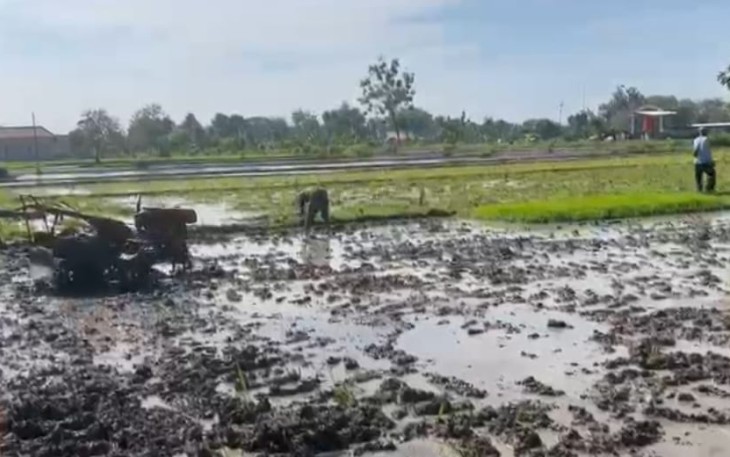 Bantu olah lahan pertanian warga binaan