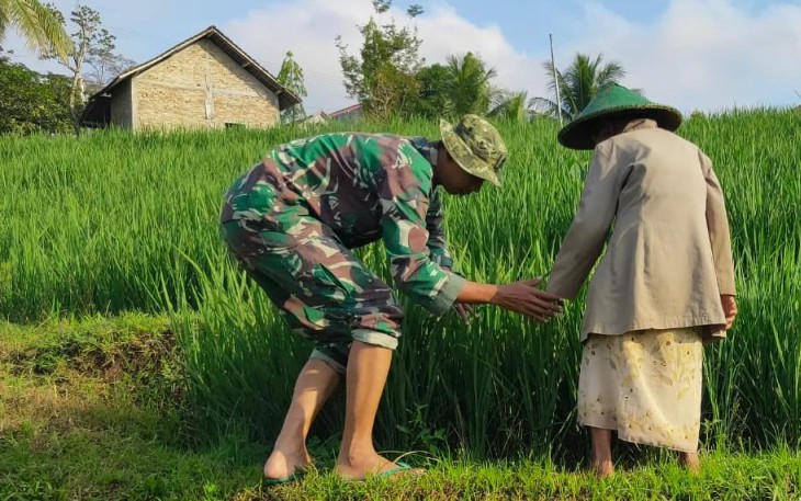Babinsa Desa Segawe Dampingi Petani, Wujudkan Ketahanan Pangan di Wilayah Binaan