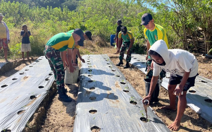 Yonarmed 12 Kostrad Hadir di Tengah Masyarakat, Bantu Tingkatkan Produktivitas Kebun Cabai