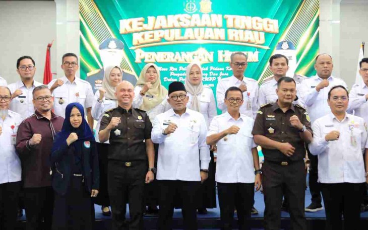 Wali Kota Tanjungpinang, Lis Darmansyah