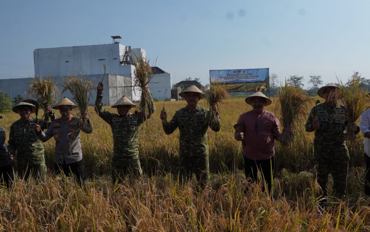 Panen Raya TNI bersama petani di areal persawahan Desa Gaum, Tasikmadu, Karanganyar, Jumat (17/7/2026)