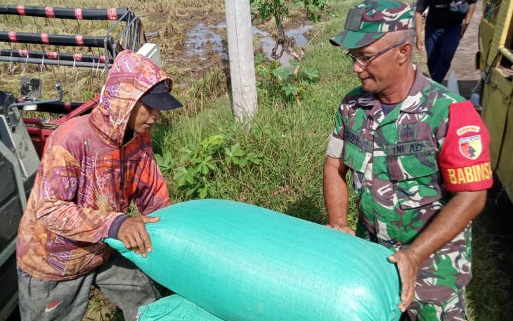 Kebersamaan Babinsa dan Petani Hadirkan Semangat Menuju Swasembada Pangan
