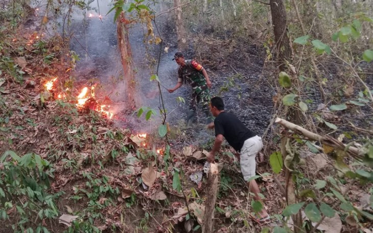 im Gabungan Padamkan Kebakaran Hutan di Trenggalek