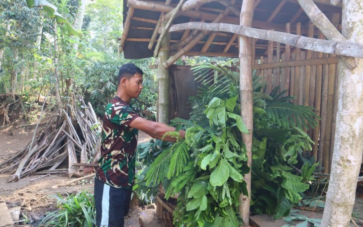 Prada Wakid bantu warga beri makan ternak